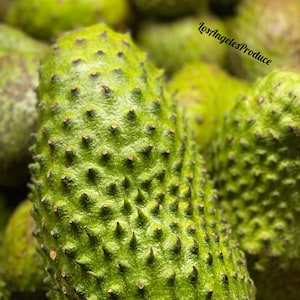 2-2.5 Lbs Soursop *ACTUAL FRUIT* (Guanabana , Graviola) Alkaline -Free Overnight Shipping!