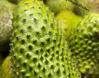 2-2.5 Lbs Soursop *ACTUAL FRUIT* (Guanabana , Graviola) Alkaline -Free Overnight Shipping!