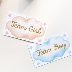 Gender Reveal Team Boy Team Girl Ticket, 3,5"x2" Gender Voting Ticket, Twinkle Twinkle Little Voting Cards, Sofortiger Download