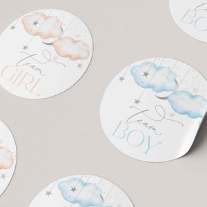 Silver Gender Reveal Team Stickers, Twinkle Twinkle Little Star Stickers, Team Boy , Team Girl Stickers / DOWNLOAD IMMEDIATO