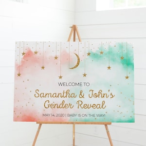 Gender Reveal Sign, Gender Reveal Welcome Sign, Twinkle Twinkle Little Star Gender Reveal Sign, Boy or Girl Sign, Green and Pink