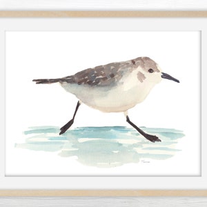 Beach Bird Print, Watercolor Print of Sanderling, Printable Art, Coastal Art, Beach House Print, Seagull, Sandpiper, Shore Bird Gift for her