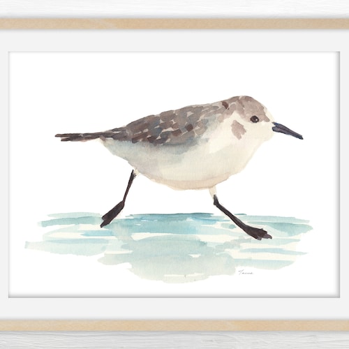 Beach Bird Digital Print Sandpiper Watercolor Sea Bird Art Etsy