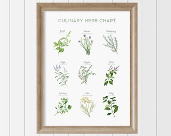 May include: A chart with watercolor illustrations of 12 culinary herbs, including basil, chives, rosemary, sage, thyme, mint, parsley, dill, bay, oregano, tarragon, and cilantro. The chart is titled "CULINARY HERB CHART".