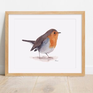 May include: Watercolor painting of a robin bird with a brown head, gray wings, and a red breast. The bird is standing on a light brown surface.