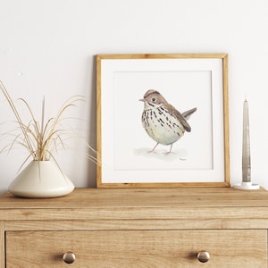 Bird Print of Warbler, Ovenbird, Printable Artwork, Instant Download, Wall Art, Gift for Her, Gift for Girlfriend