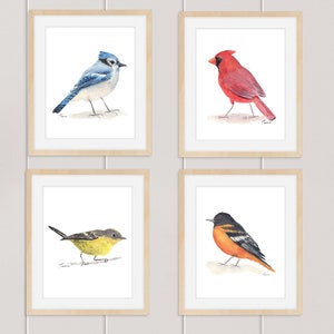 Set von vier bunten Vogeldrucken, Aquarell Vögel, herunterladbare Drucke, druckbare Kunst, Blue Jay, Kardinal, Warbler, Baltimore Oriole