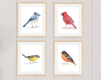 Set of Four Colorful Bird Prints, Watercolor Birds, Downloadable Prints, Printable Art, Blue Jay, Cardinal, Warbler, Baltimore Oriole
