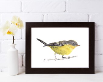 Reinita magnolia, pájaro acuarela, pájaro amarillo y negro, impresión de pájaro colorido, arte de pared descargable, regalo para ella, descarga instantánea