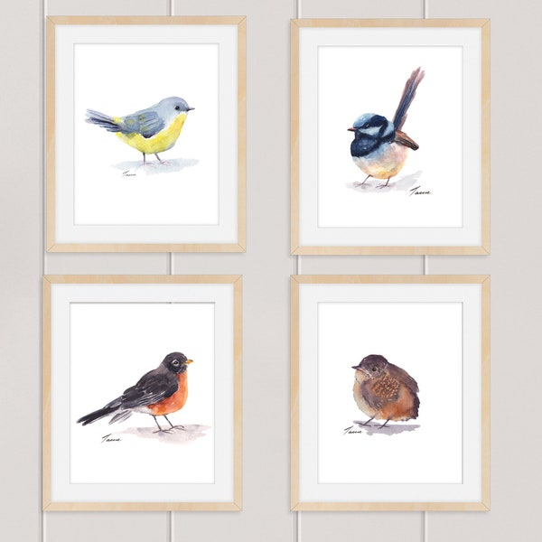 Set of 4 Bird Prints II, Four Watercolor Birds, Downloadable Prints, Printable Wall Art, Set of bird prints, Robin, Wren, Blue Fairywren