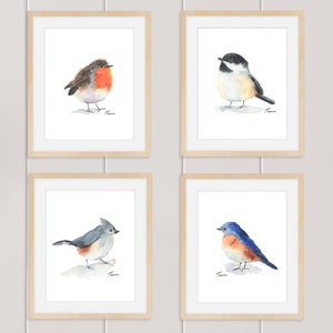 Set of 4 Bird Prints, Watercolor Birds, Downloadable Prints, Printable Art, Gift for Her, Bluebird, Robin, Chickadee, Instant Download