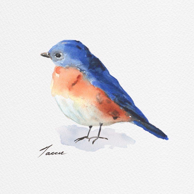 Watercolor Blue Bird Cute Bird Print Eastern Bluebird Etsy