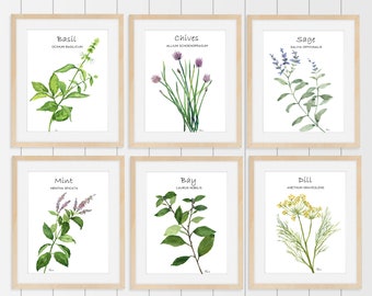 Set of Six Prints of Kitchen Herbs, Botanical Herbal Illustration, Kitchen Art, Printable Art, Downloadable Print, Set of Greenery Prints