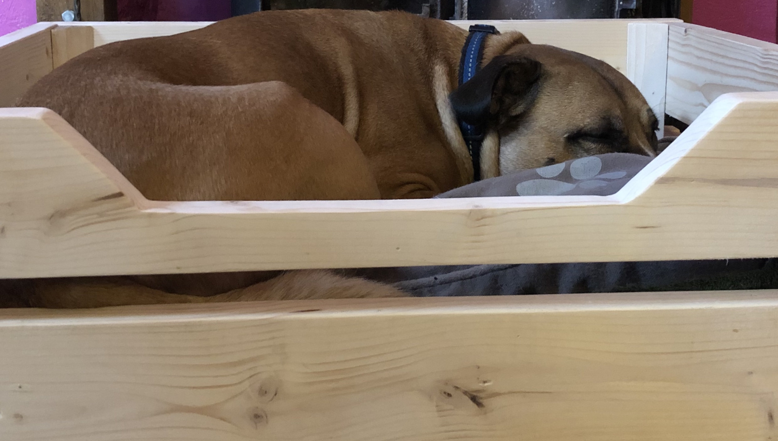 Handmade Wooden Dog Bed Etsy UK