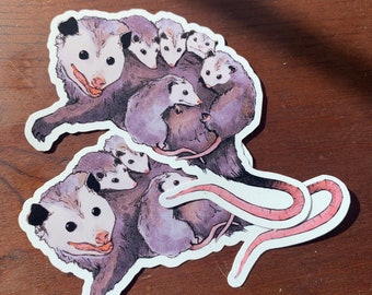 Possum Mother | Possum stickers for journaling, laptops, water bottles and more