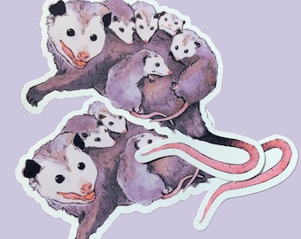 Possum Mama and Babies | Stickers for journaling, laptops, water bottles and decoration