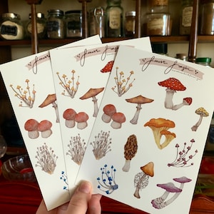 Forest Fungi | Mushroom Sticker Sheet for laptops, journaling, decals