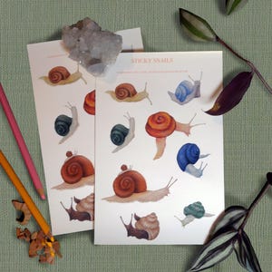 Sticky Snails | Snail Sticker Sheet for laptops, journaling, decals