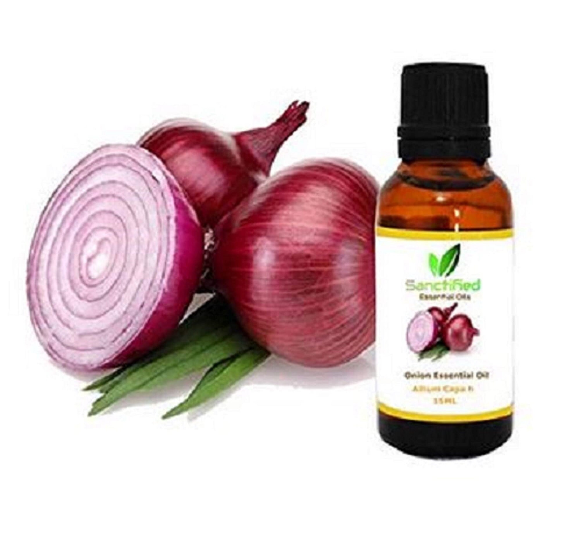 SANCTIFIED Onion Essential Oil Pure Natural & Undiluted for Etsy