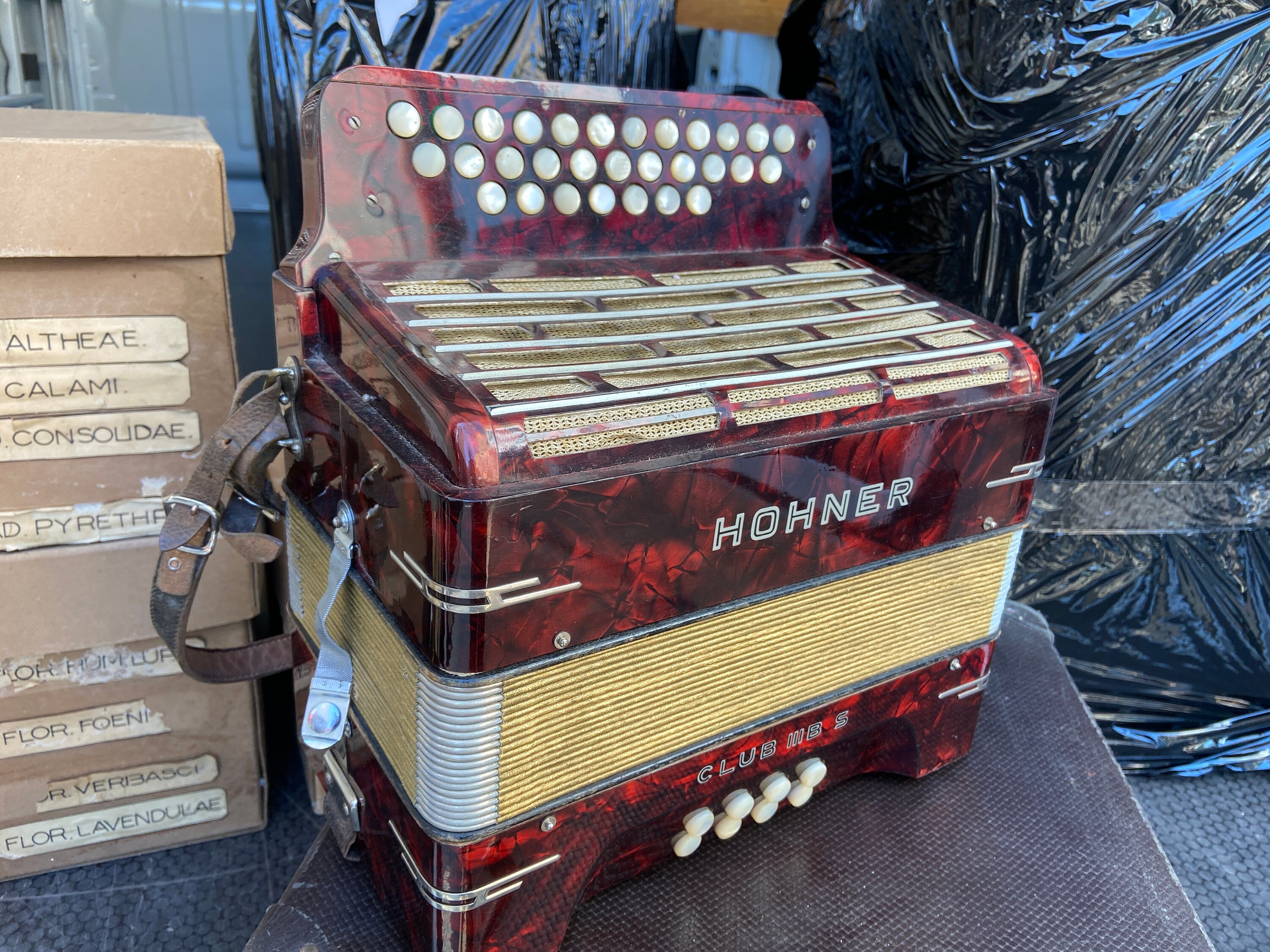 Accordéon Hohner club