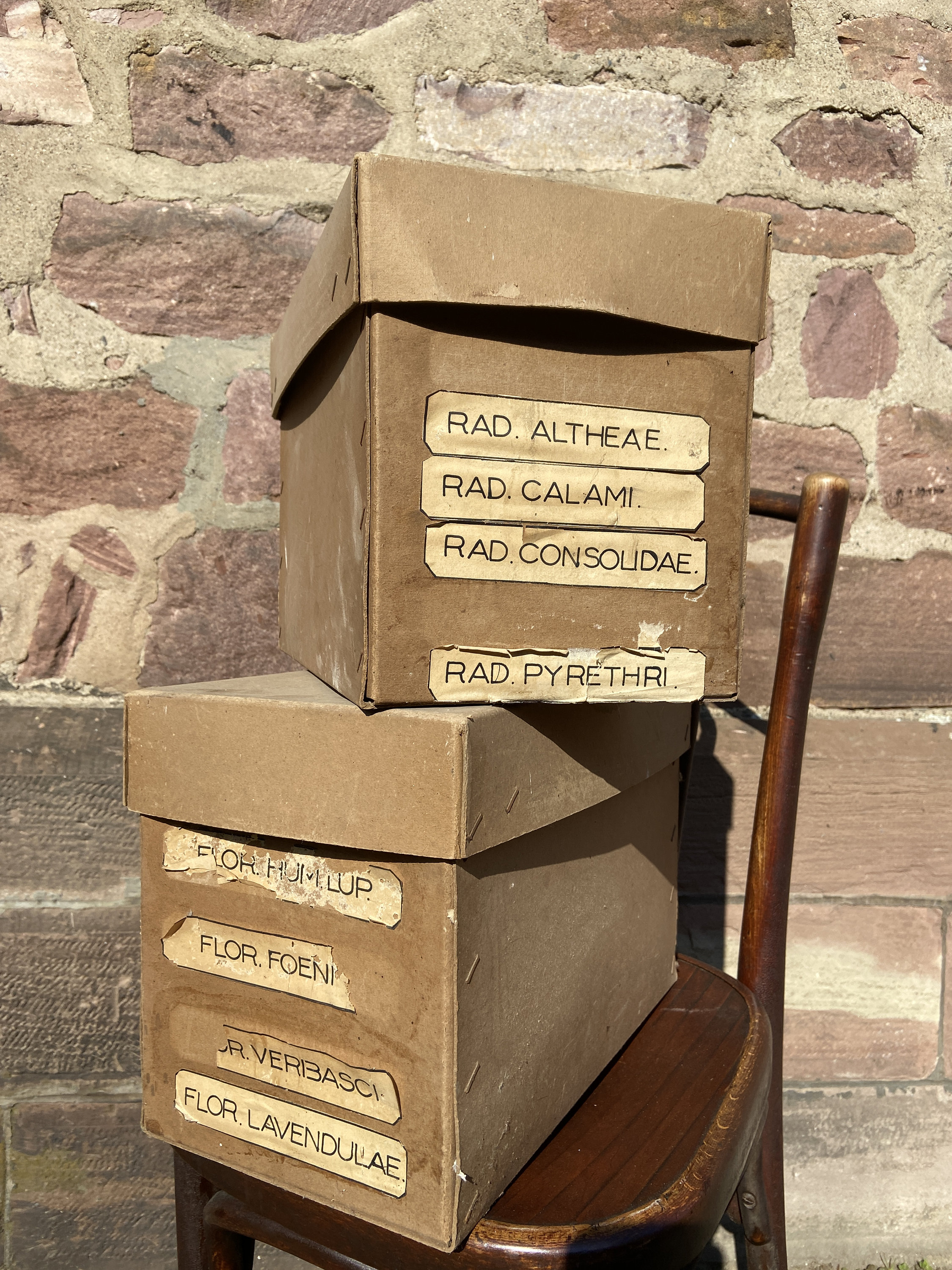 Lot de 2 Boites d'herboristerie Vintage Herbalism Store Box