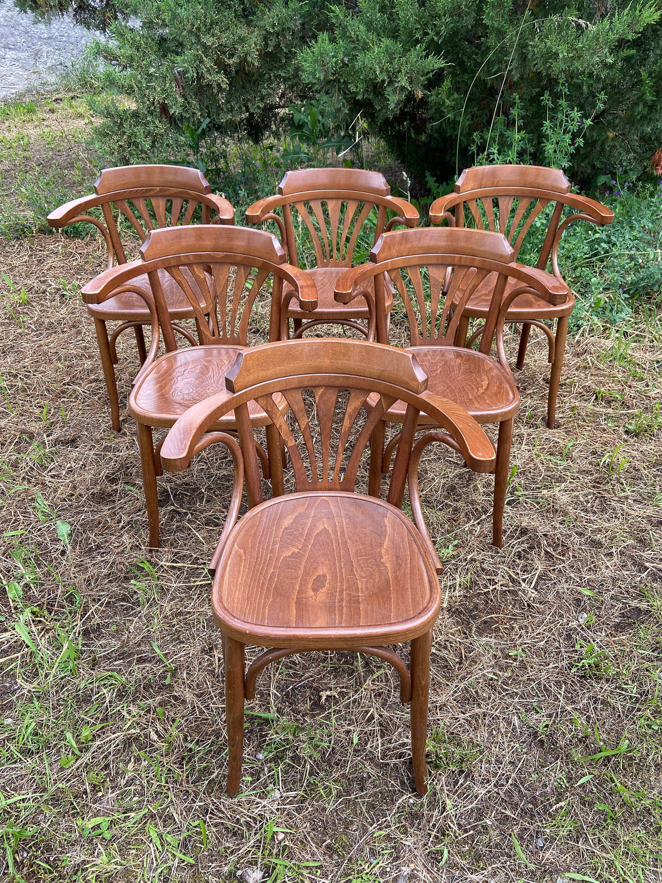 Bentwood chairs set of 6 - Etsy 日本