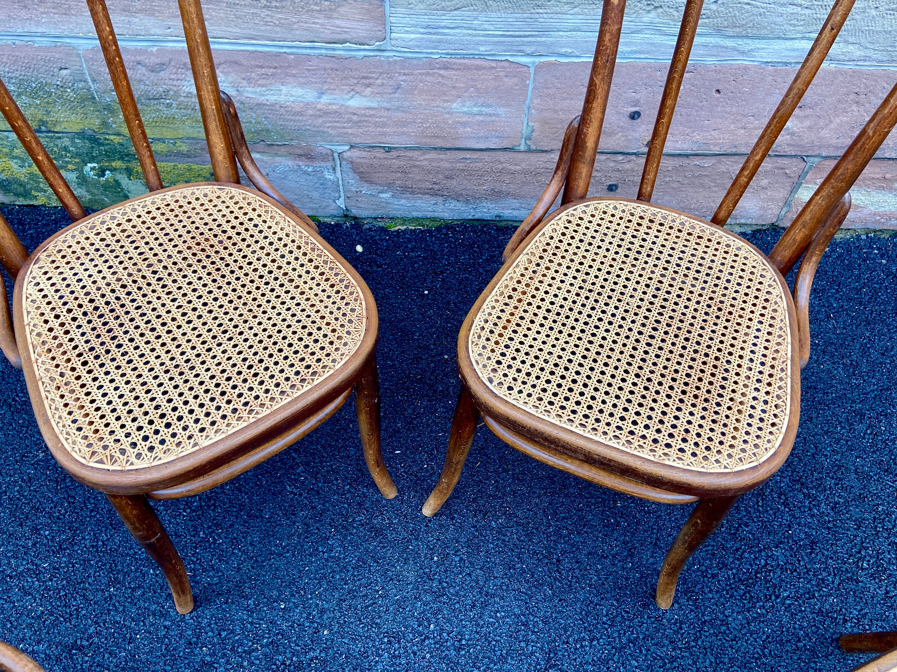 Ref 365 2 Bentwood Bistro Chairs Fischel Thonet Nr 56 Bugholzstuhl