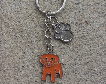 cavapoo accessories