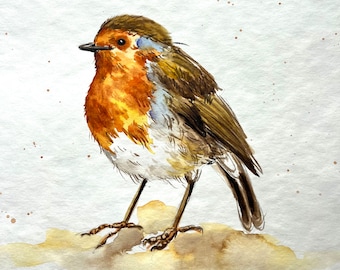 新作　新品　ジェリーキャット　ロビン　鳥　robin コマドリ　bird 冬 JELLY CAT - 新作 新品 ジェリーキャット ロビン 鳥 robin コマドリ