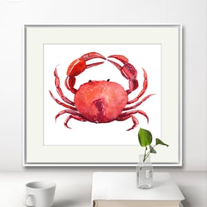 Crab Original Watercolour Art Print Clipart Digital Download High Quality PNG
