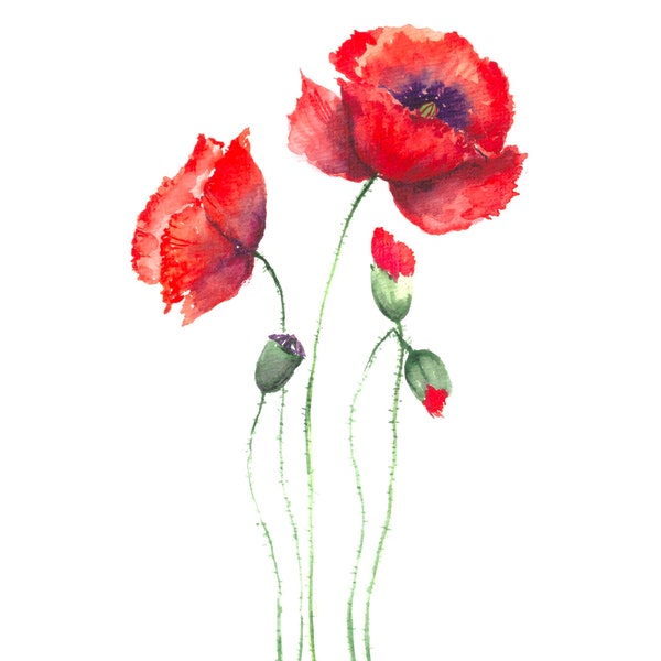 Art mural coquelicot, aquarelle originale, décoration murale, cadeau fête des mères