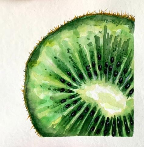 キウイの水彩画：手作りフルーツ壁飾り - Etsy 日本