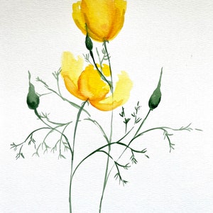 Yellow Poppy Watercolor Painting: California Floral Wall Art