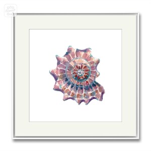 Seashell Watercolor Art Print: Coastal Illustration (Digital Download)