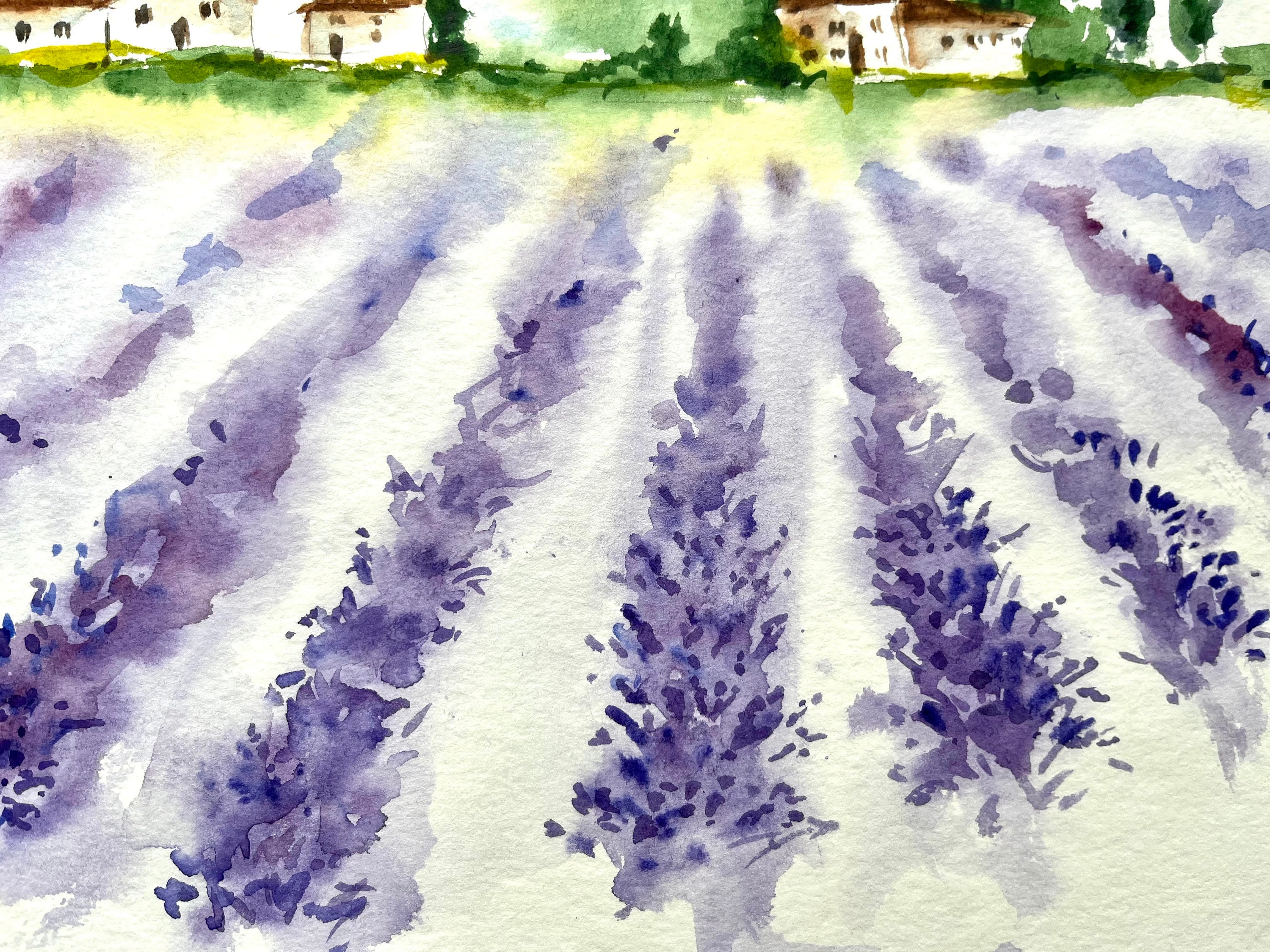 オリジナル水彩画ラベンダー畑：フランス・プロヴァンスの風景画