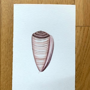 ACEO Muschel Original Aquarell Gemälde Set 3 Original Geschenk Strandhaus Dekor Geschenk für Freund Tiny Art