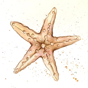 Seestern Originalgemälde Wandkunst