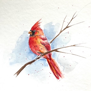 Red Cardinal Bird Watercolor Painting: Original Small Wall Art