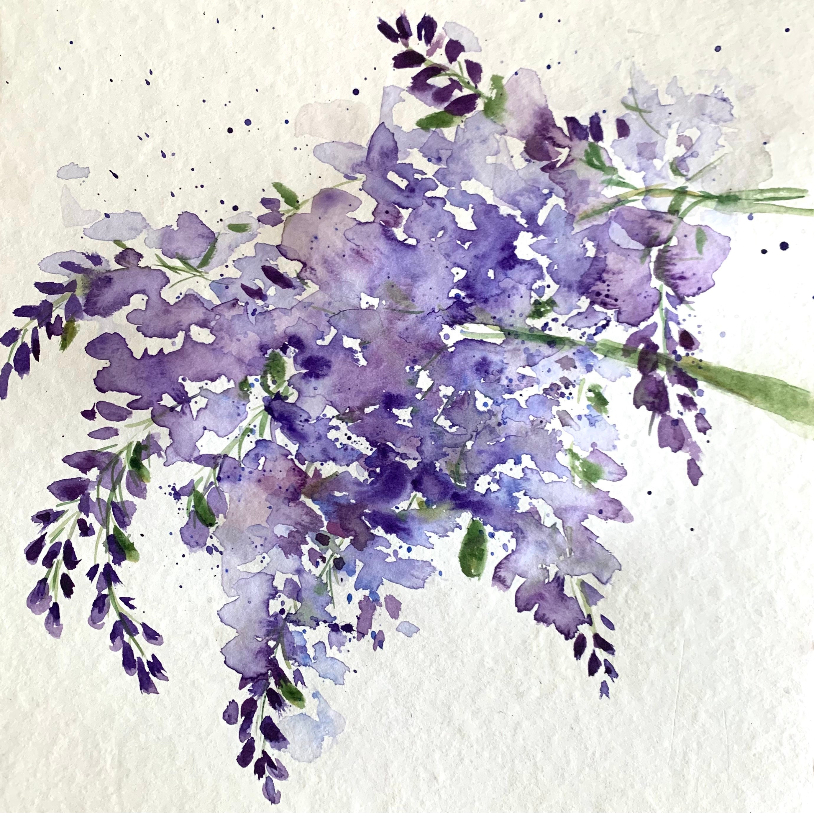 wisteria atlanta Belford-Wisteria