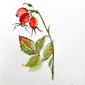Rose hip Original Painting Wall Art