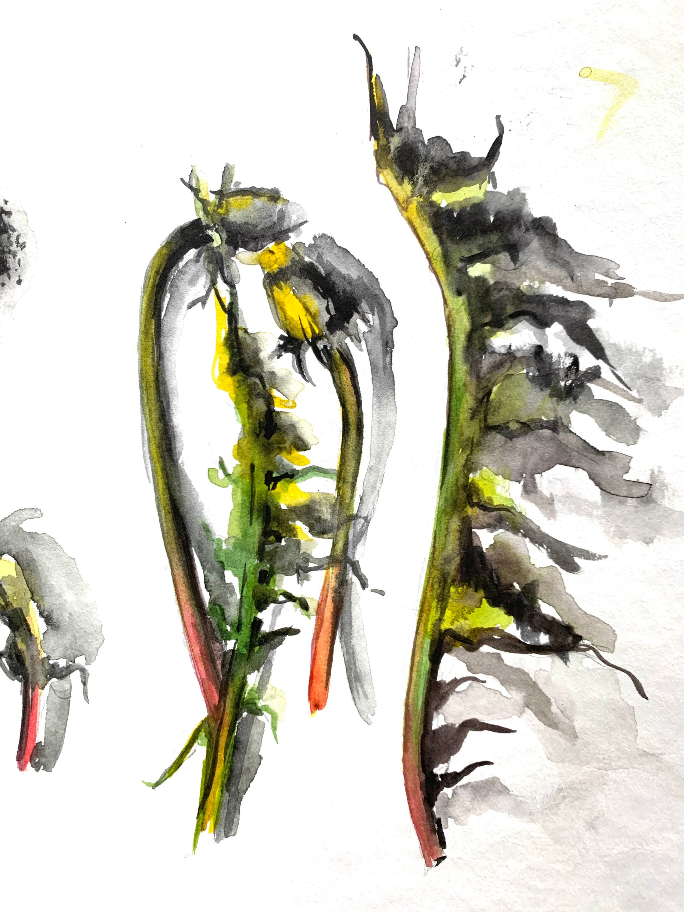 タンポポの水彩画：オリジナルの野花アート、10 x 10インチ - Etsy 日本