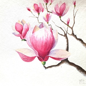 Original Magnolia Watercolor Painting: Floral Wall Art (25x25 cm)