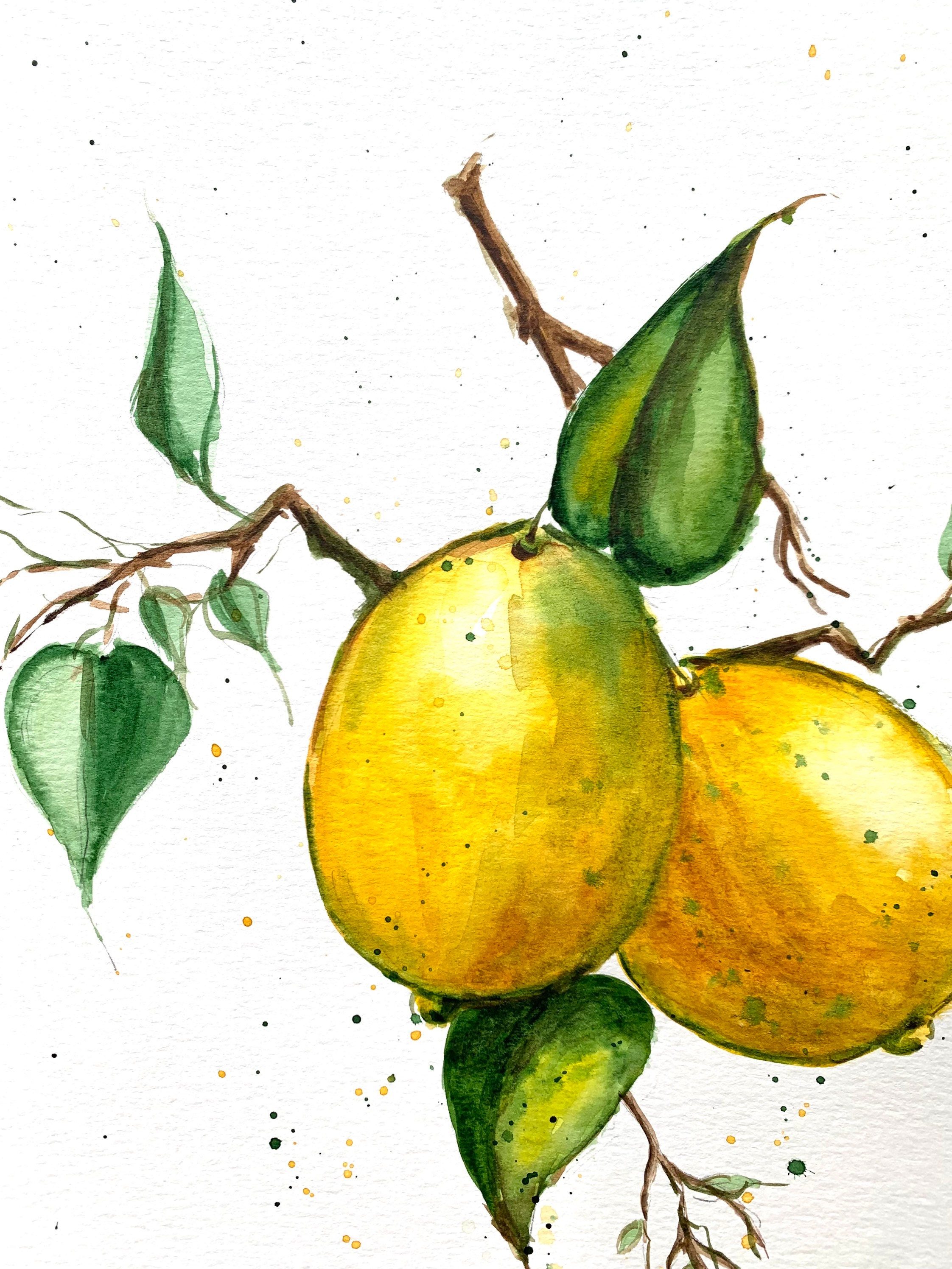 Original Lemon Watercolor Painting: Kitchen Still Life Art (9x13