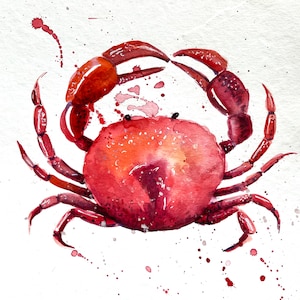 Sea Crab originele aquarel schilderij muur kunst Home decor nautische kunst zee liefhebbers cadeau Ocean Art housewarming cadeau