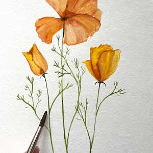 Poppy Wall Art Watercolor Painting California Yellow Poppy Home gecor Gift for girl Unique gift for friend Woman gift
