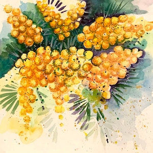 Mimosa Watercolor Original Painting Wall Art