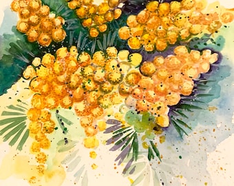 Mimosa Watercolor Original Painting Wall Art