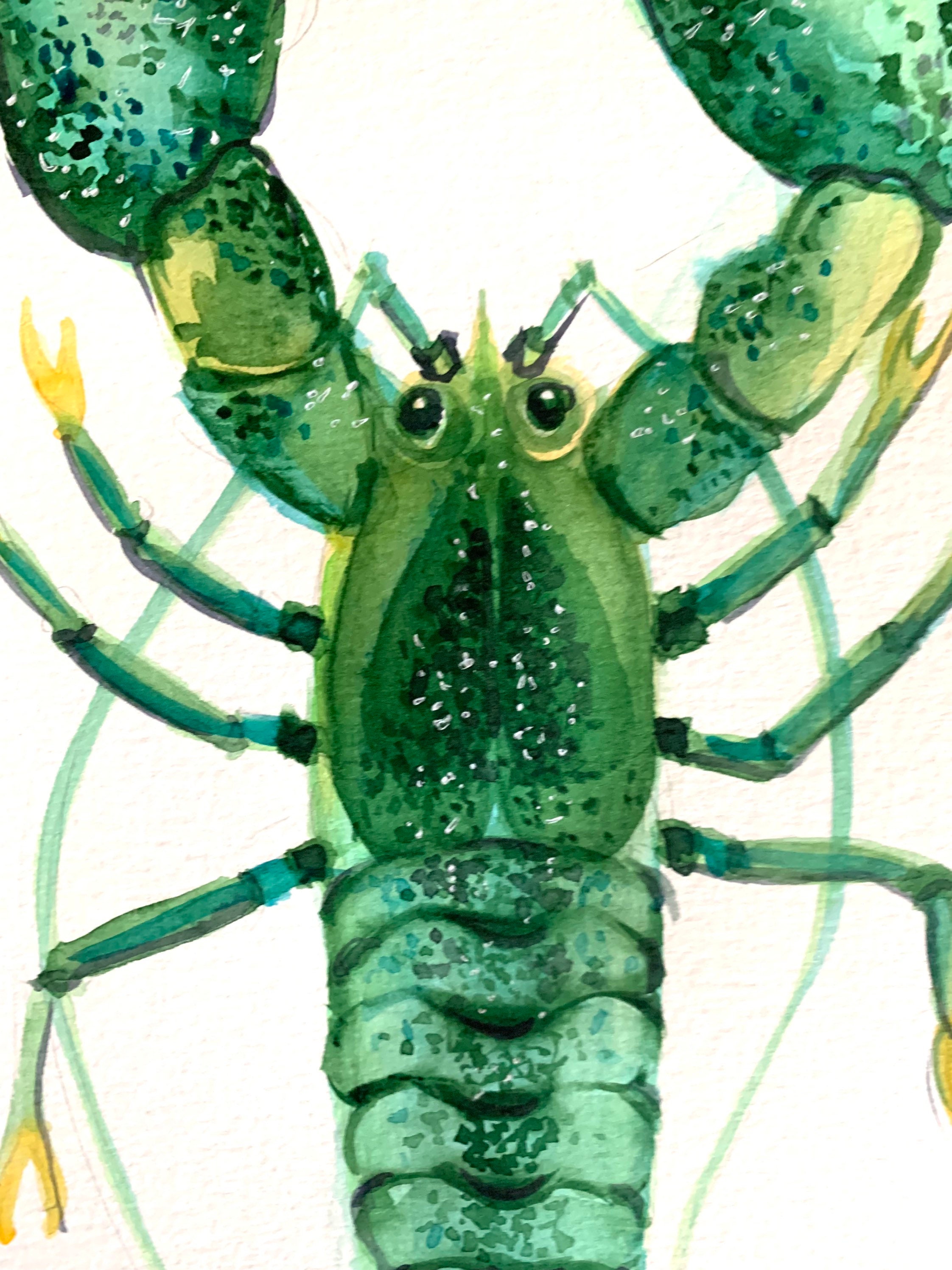 Green Lobster Watercolor Painting: Beach House Wall Art - Etsy