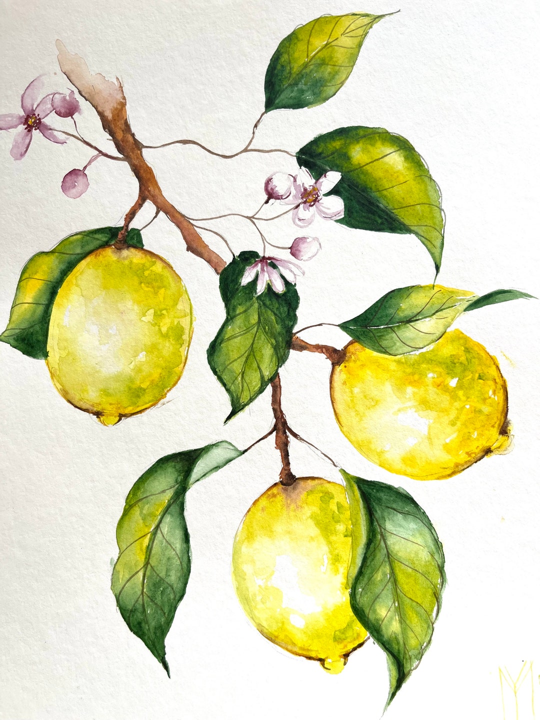 №34♡lien様♡デザインペーパー　18枚　ヴィンテージ  104 Original Lemon Painting, Original Mini Watercolor Painting