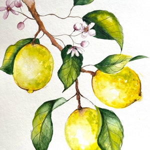 Original Lemon Watercolor Painting: Kitchen Still Life Art (9x13 inch)